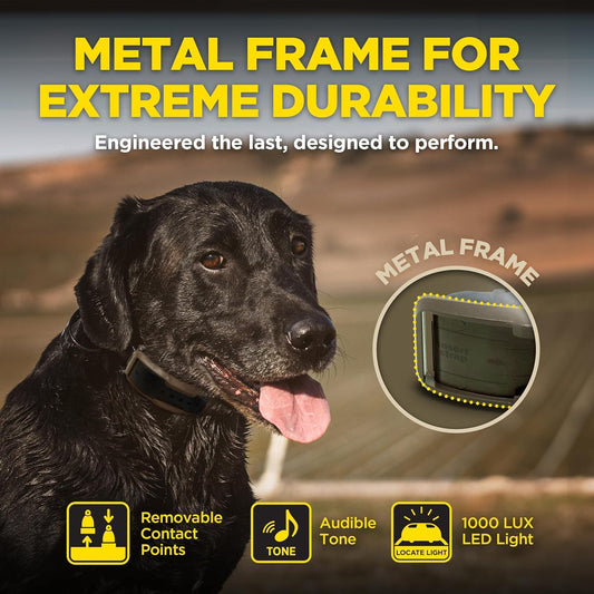 The Dogtra 1900X is $200 off for a limited time! This promotion only lasts for seven days! Only 35/100 left!